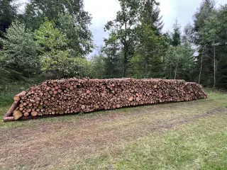Grantræ i meterstykker