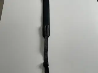 Blaser Ram