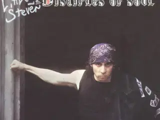 Little Steven: Men without Women - vinyl LP