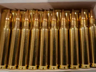 Billig trænings ammunition 5.56 (.223) 