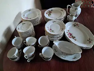 Porcelænsstel fra Wałbrzych