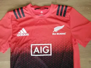 NEW ZEALAND 2017-18, RUGBY, STR. S, SOM NY