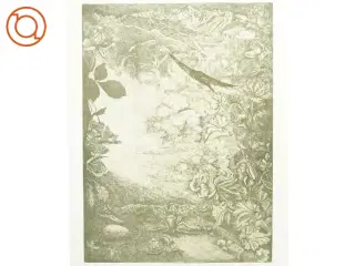 Stregtegning/plakat af naturmotiv (str. 41 x 59 cm)