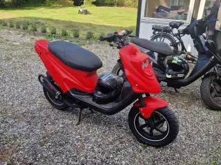 Pgo hot 50 sp