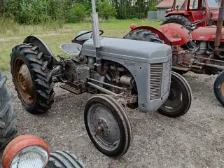 Ferguson 26 