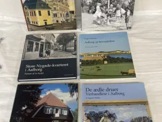 6 Aalborg bøger