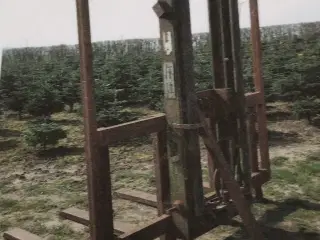 Lift til Juletræer
