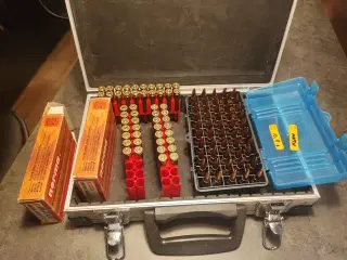 Norma 308 win ammunition