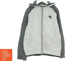 Hættetrøje fra Abercrombie (str. 140 cm)