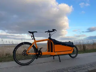 UDLEJES - Bullitt ladcykel