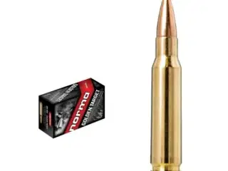 Ammunition 308 Win