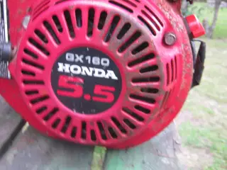 honda 5,5 hk motor