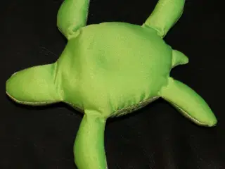 Skildpadde