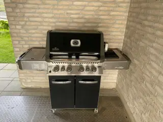 Napoleon prestige 500 gasgrill