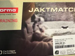 Ammunition 300 WM Spidsskarp