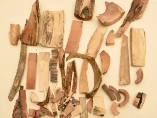 Stort lot mammut stødtand