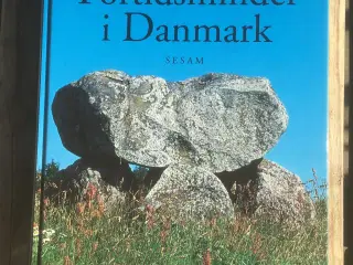 Fortidsminder i Danmark, Henning Dehn-Nielsen