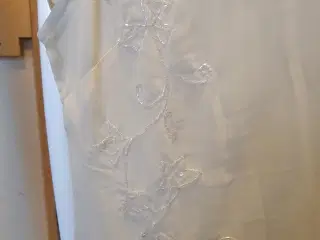 Repeat top