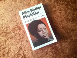Meridian, Alice Walker,