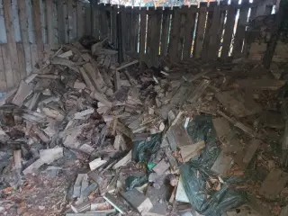 Billig træ til salg skriv eller ring på nr i beskr