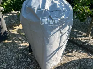 Weber ø47 silver grill