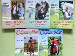 Chestnut hill 1 - 5