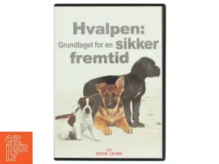 Hvalpen: grundlaget for en sikker fremtid