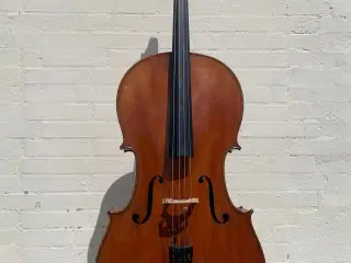 Cello og kasse