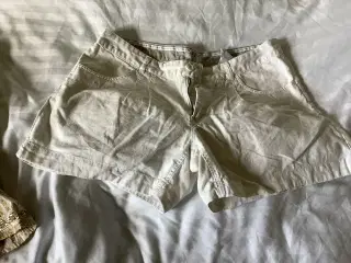 Dameshorts