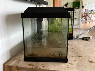 Akvarium inkl. filter, lys, termometer