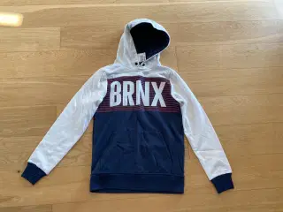 Hoddie