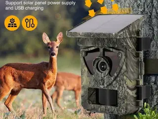 Vildtkamera med solceller og 2" farveskærm.
