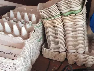 Æggebakker