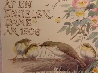 naturdagbog af en engelsk dame 1906