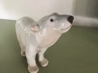 Isbjørn