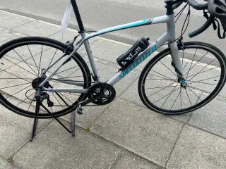  Racer cykel Specialized Dolce Elite, 57 cm stel, 