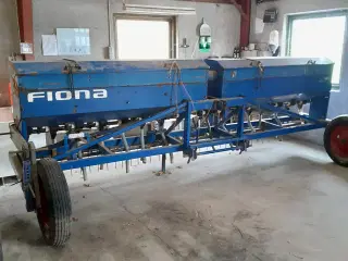 Fiona Rex 4m