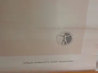 Anskuelsesplanche/anskuelsesplakat