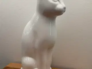 Kat