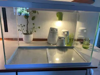 Hvidt akvarium