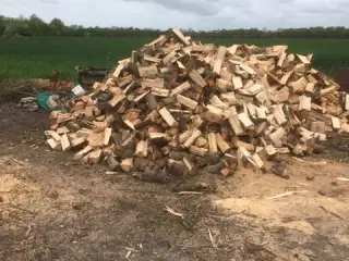 Brænde nåle  og løvtræ tørt