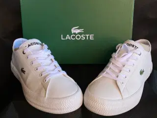 Fritidssko, str. 38, Lacoste