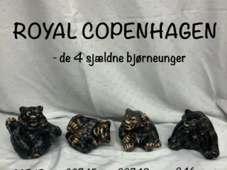 De 4 sjældne, kongelige bjørneunger 