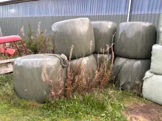 Wrap enghø