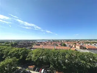 Eksklusiv lejlighed med udsigt, Viborg