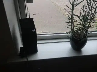 Radio og plante