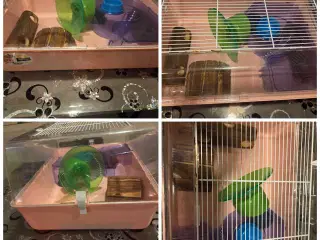  Hamsterbur  