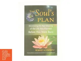 Your Soul's Plan af Robert Schwartz (Bog)