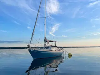 Dehler Sejlbåd