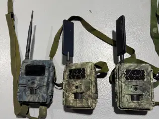 Vildkamera fra Spromise